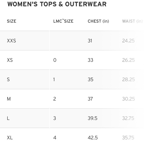 NWTS FINAL 🔥 Levi’s Premium Sportswear Logo Tee - Picture 5 of 6